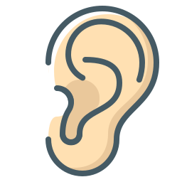 Oto Endoscopy Ear