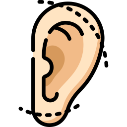 Ear Surgeries