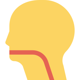Laryngopharyngeal Endoscopy (Throat)